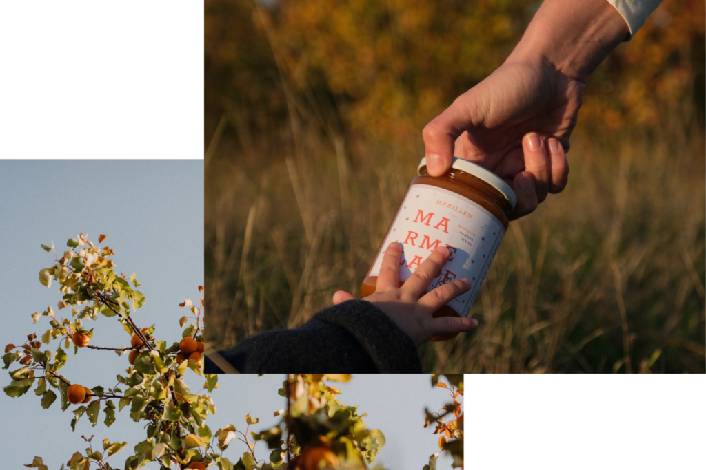 Marillen Marmelade von Familie Weiss aus Rohrendorf in der Wachau